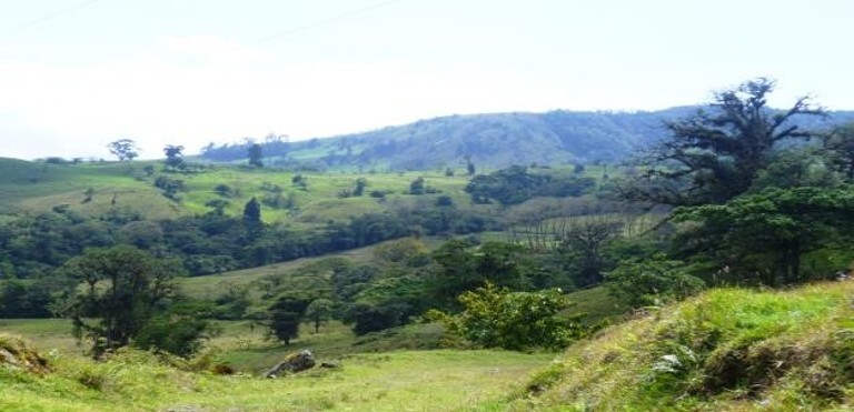 Corredor Biológico Cordillera Volcánica Central Talamanca